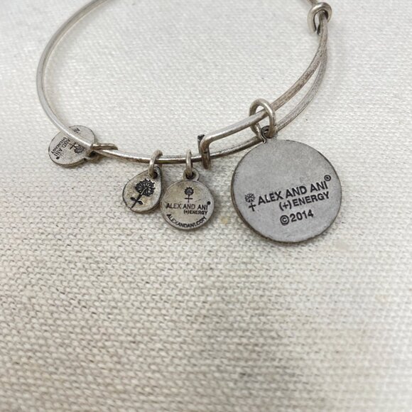 Alex and Ani Path of Life Charm Bangle Bracelet 2014 Adjustable Silver-Tone - Picture 5 of 6